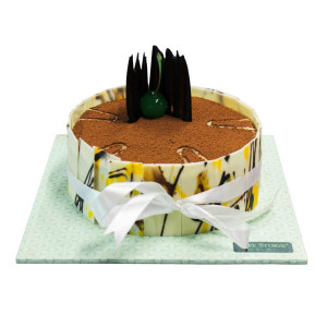 Tiramisu Cake